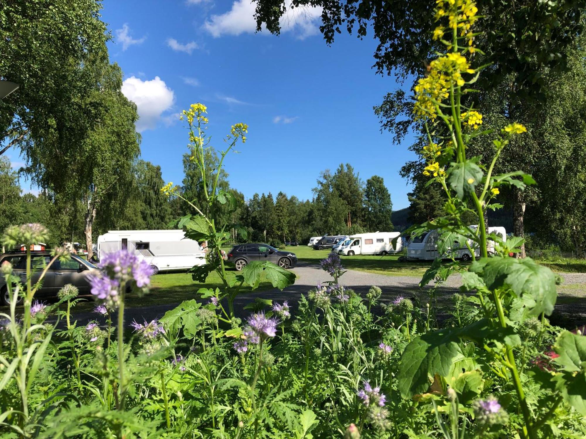 4 Persoons Stuga Hammarstrand ภายนอก รูปภาพ